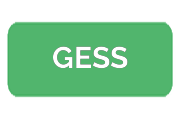 Ремонт массажных кресел GESS