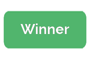 Ремонт сигвеев Winner